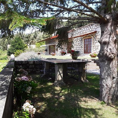 Casa De Crespins Casa De Campo Lda Cristelo  Exteriör bild